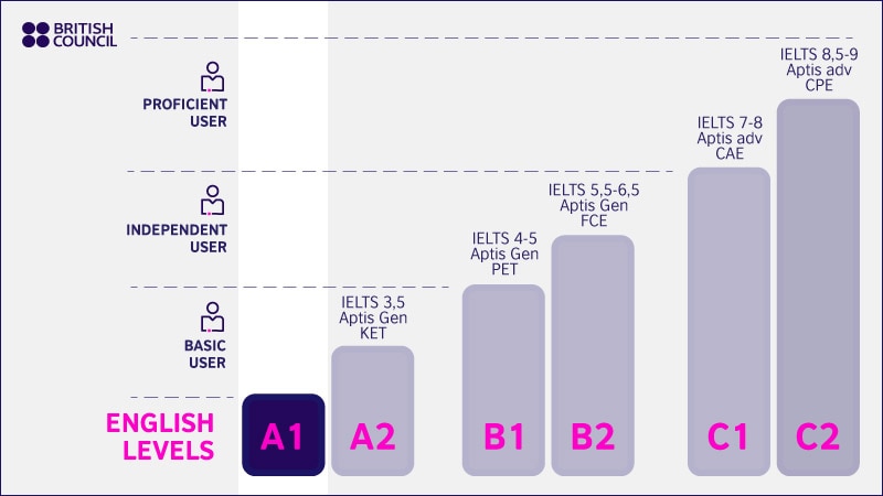 What is A1 level of language?